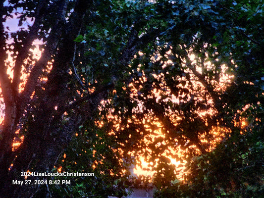 ©2024 Lisa Loucks-Christenson #24-05-27-03 "EVENING SUNSET"