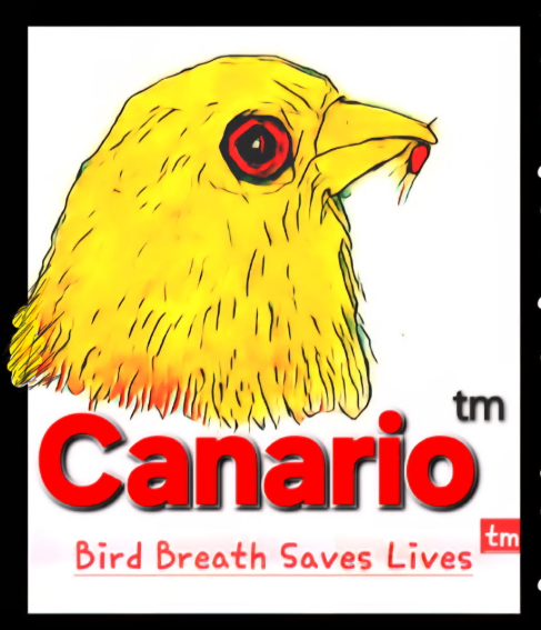 The countdown to CANARIO™ has officially begun. Three days remain.