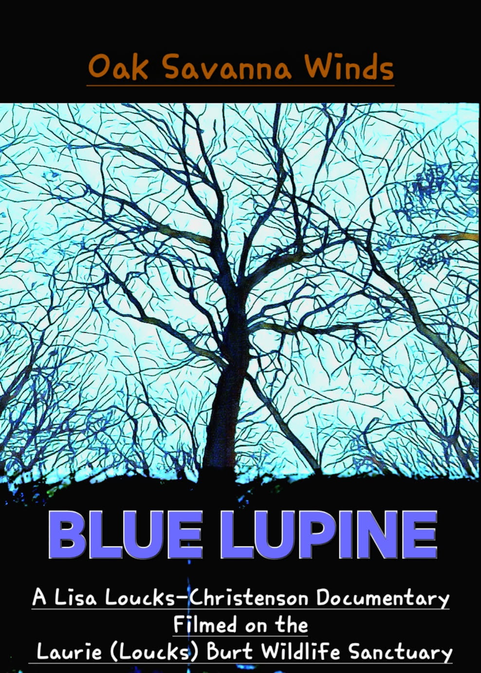 Rochester Blizzard Blankets Unique Oak Savanna Ahead of Book Launch