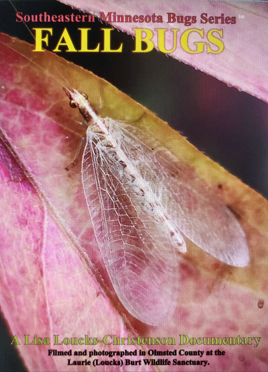 Lisa Loucks-Christenson Completes Four Seasons Southeastern Minnesota Bugs Series with Fall Bugs on Winter Solstice