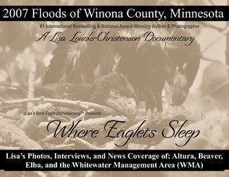 Male Eagle Watched Waters Rise; Eaglets Swam Summer Floods—I Witnessed Both